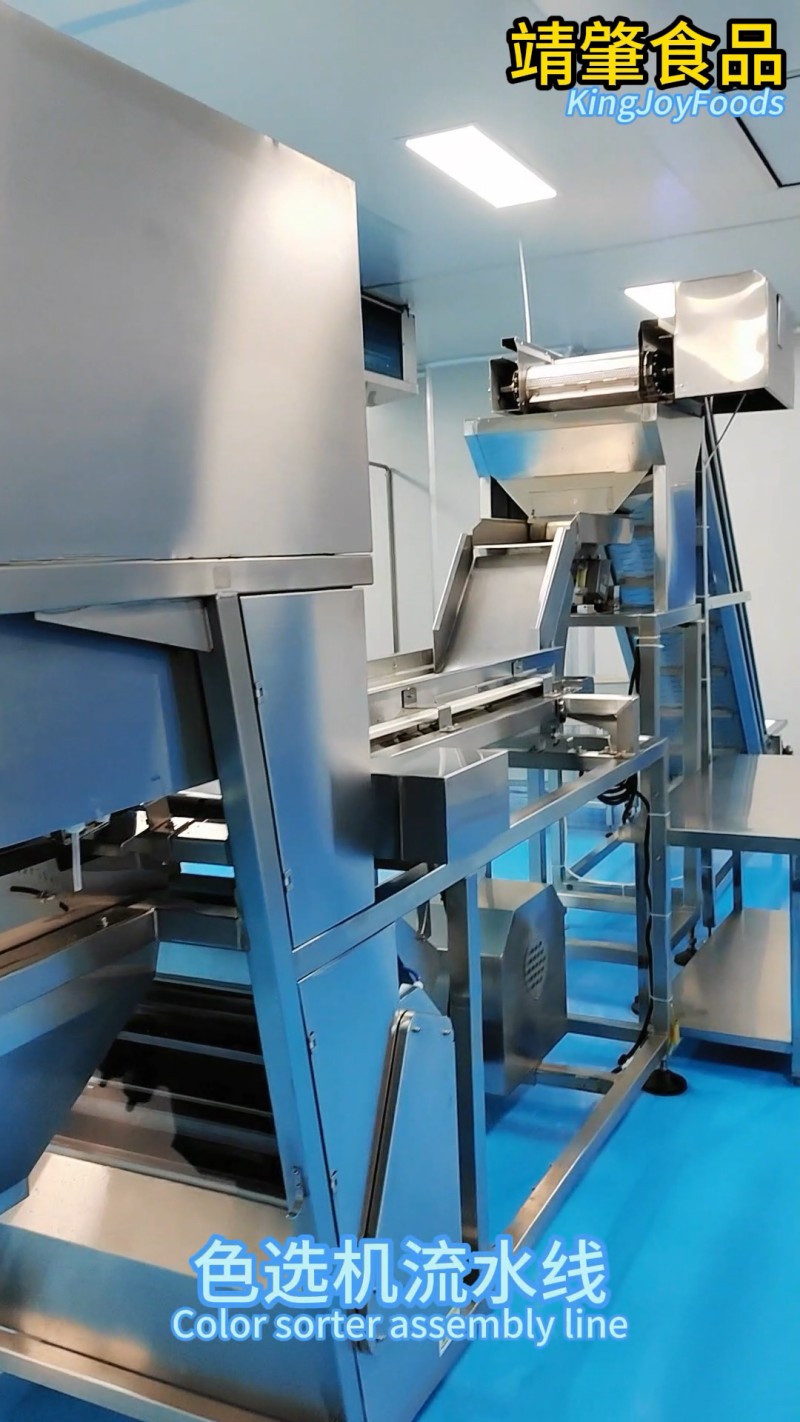色选机流水线
